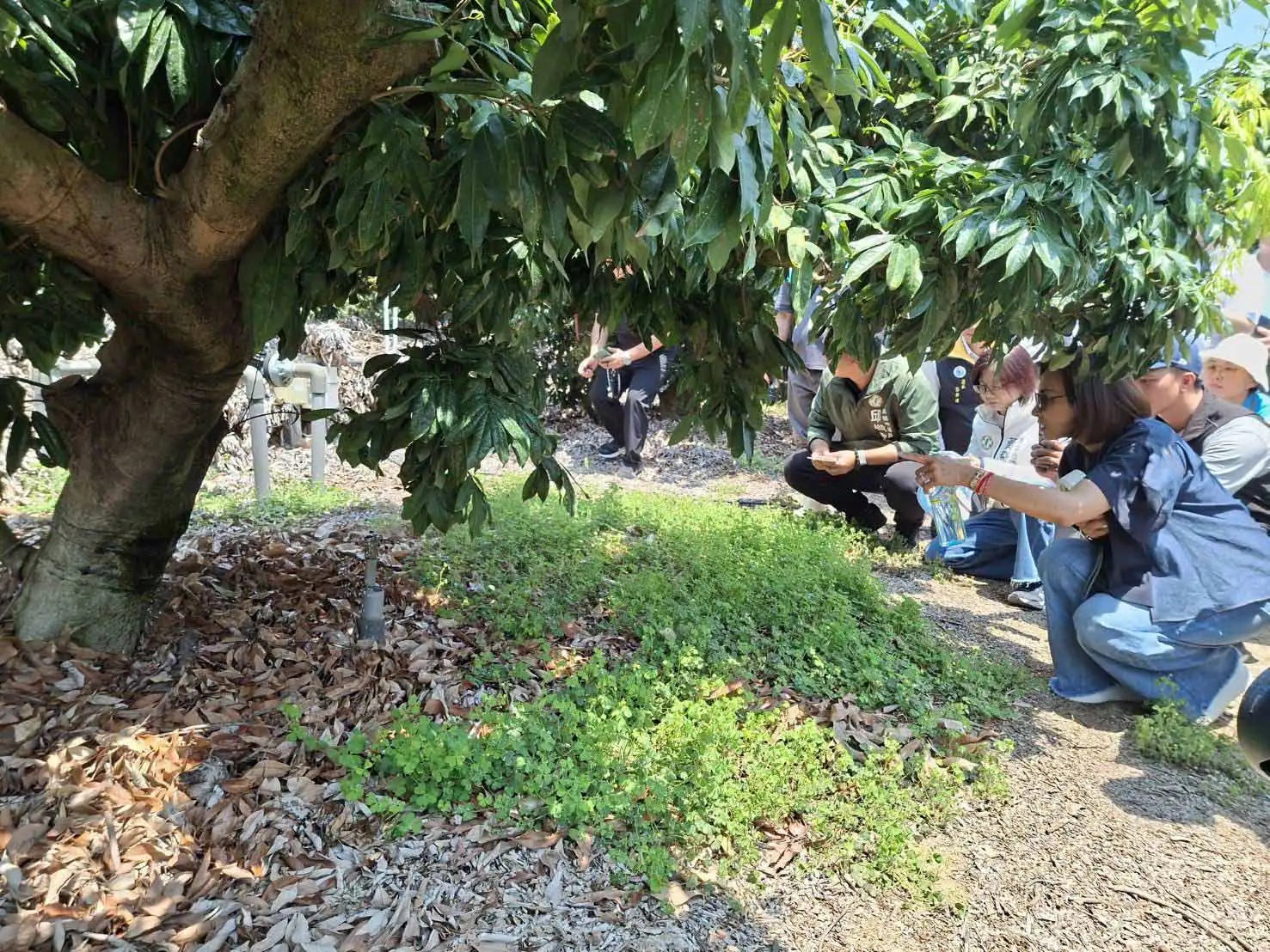 立法院經濟委員會南下高雄考察節水灌溉成果，邱議瑩與農田水利署人員及在地農民交流，了解智慧灌溉提升農業效率與產量情形。（圖/農田水利署高雄管理處提供）