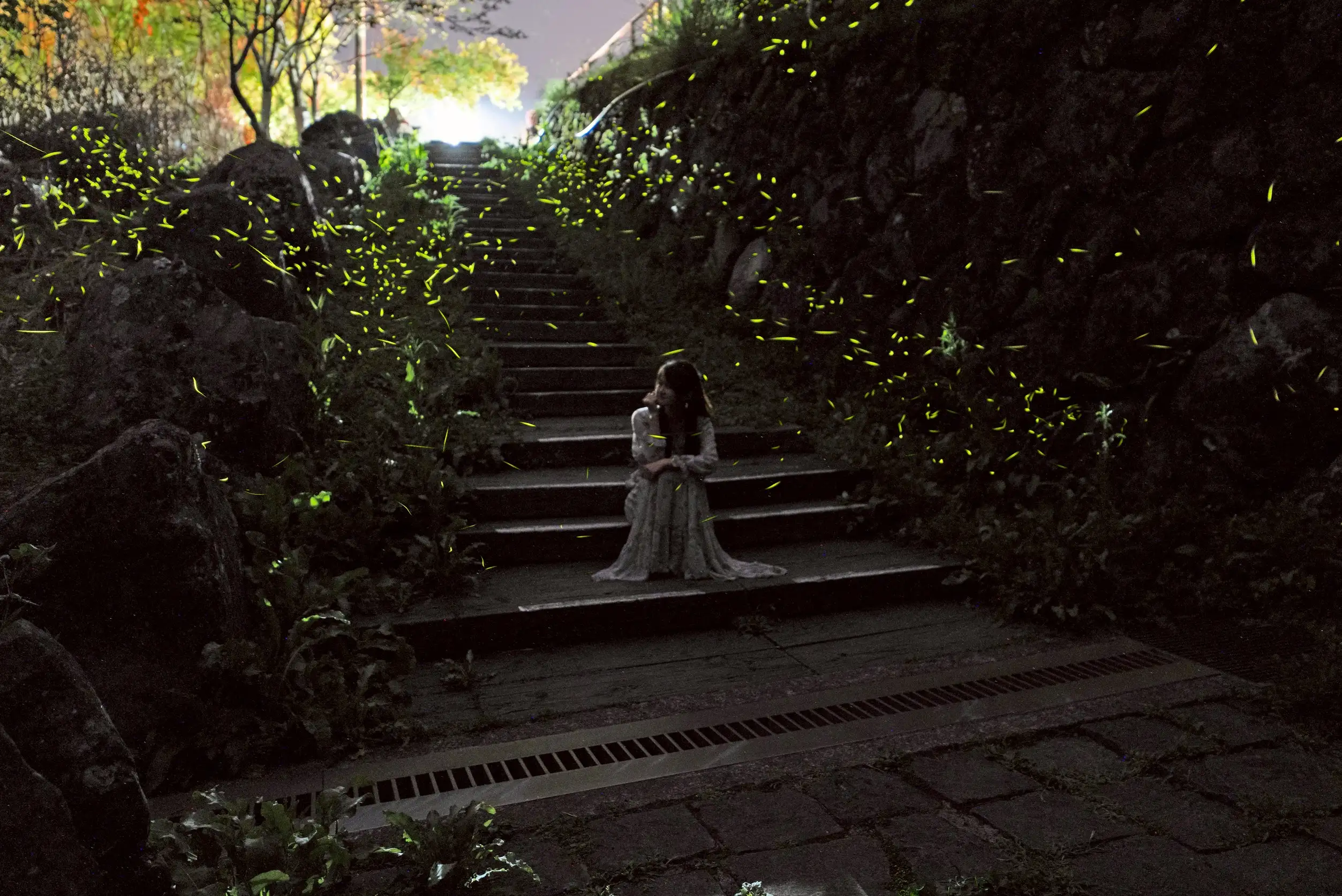 旅程亮點為夜間前往迷糊步道賞螢。近期因雨量充沛，螢火蟲生態活躍，4月中旬至5月為最佳觀賞期。(圖/嘉義縣文化觀光局提供)