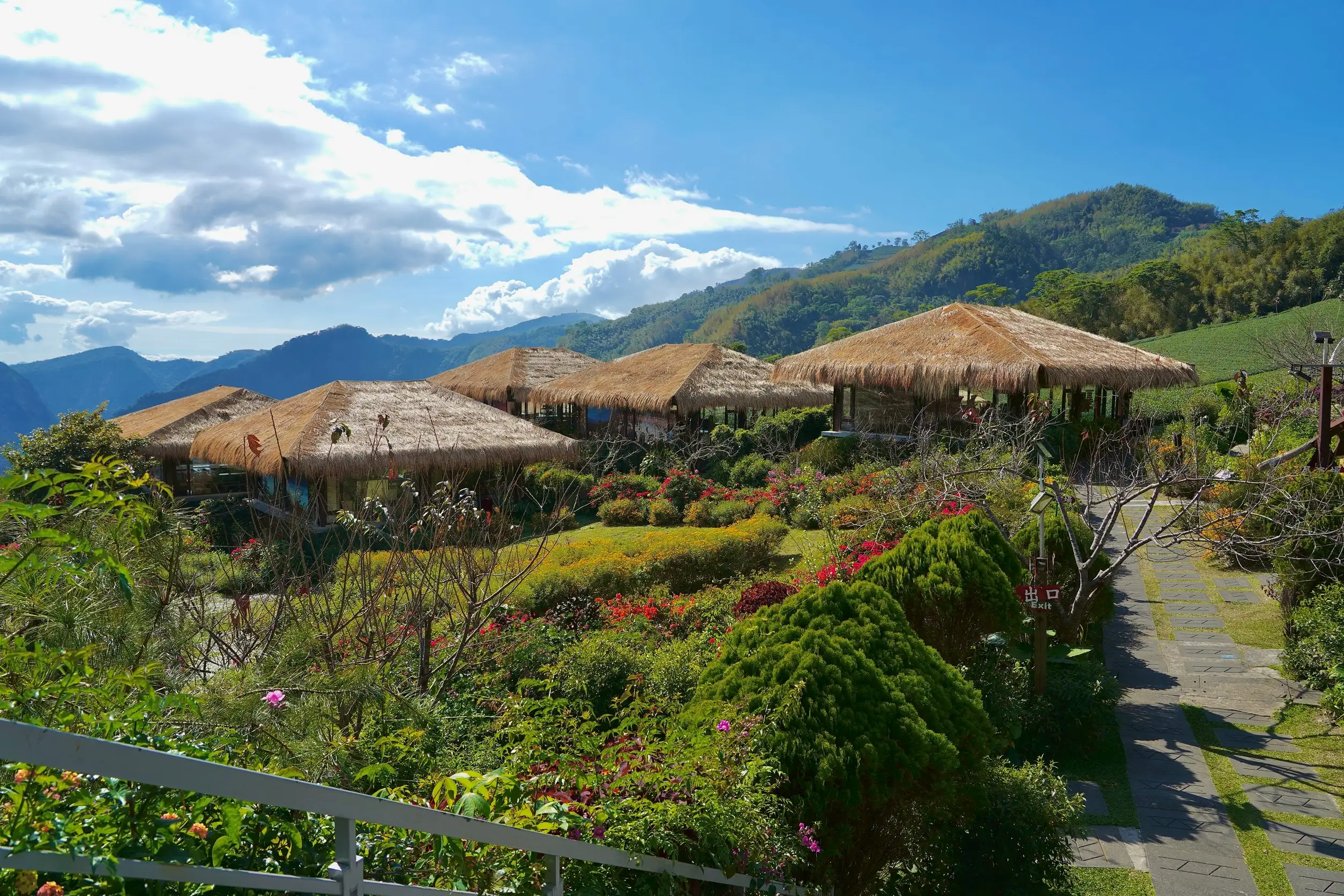 嘉義縣文化觀光局推薦民眾前往阿里山樂野部落，規劃兩天一夜深度旅遊，結合自然生態、原民文化與手作體驗，享受充滿特色的賞螢之旅。(圖/嘉義縣文化觀光局提供)