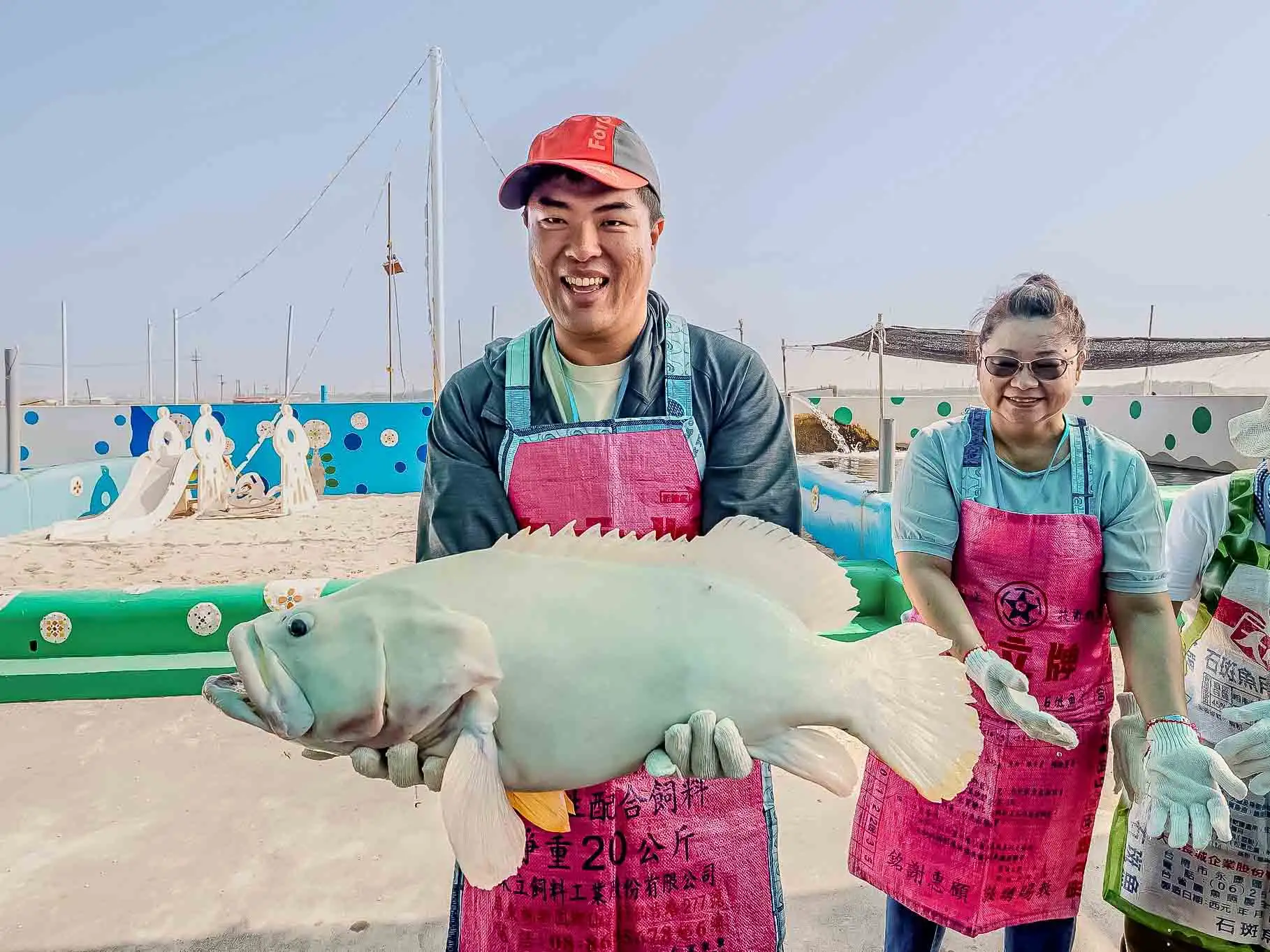 永安素有「石斑魚故鄉」美稱，可品嚐新鮮海味料理。(圖/高雄市觀光局提供)