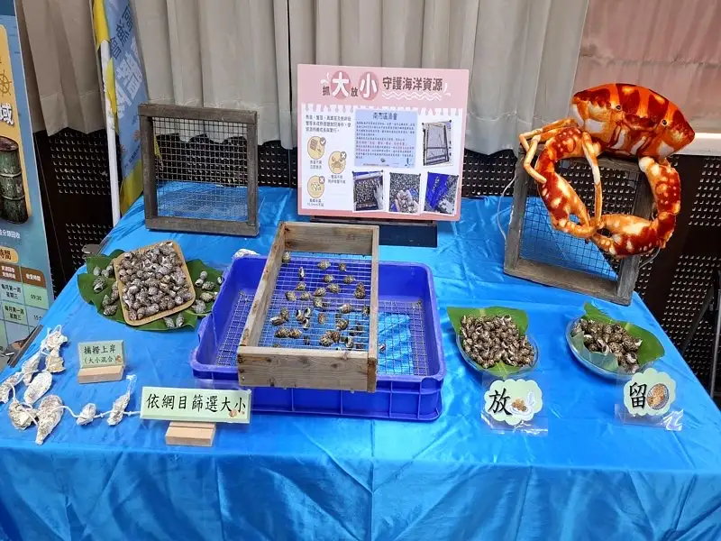 抓大放小維護鳳螺資源永續成長與繁衍。(圖/台南市政府農業局提供)