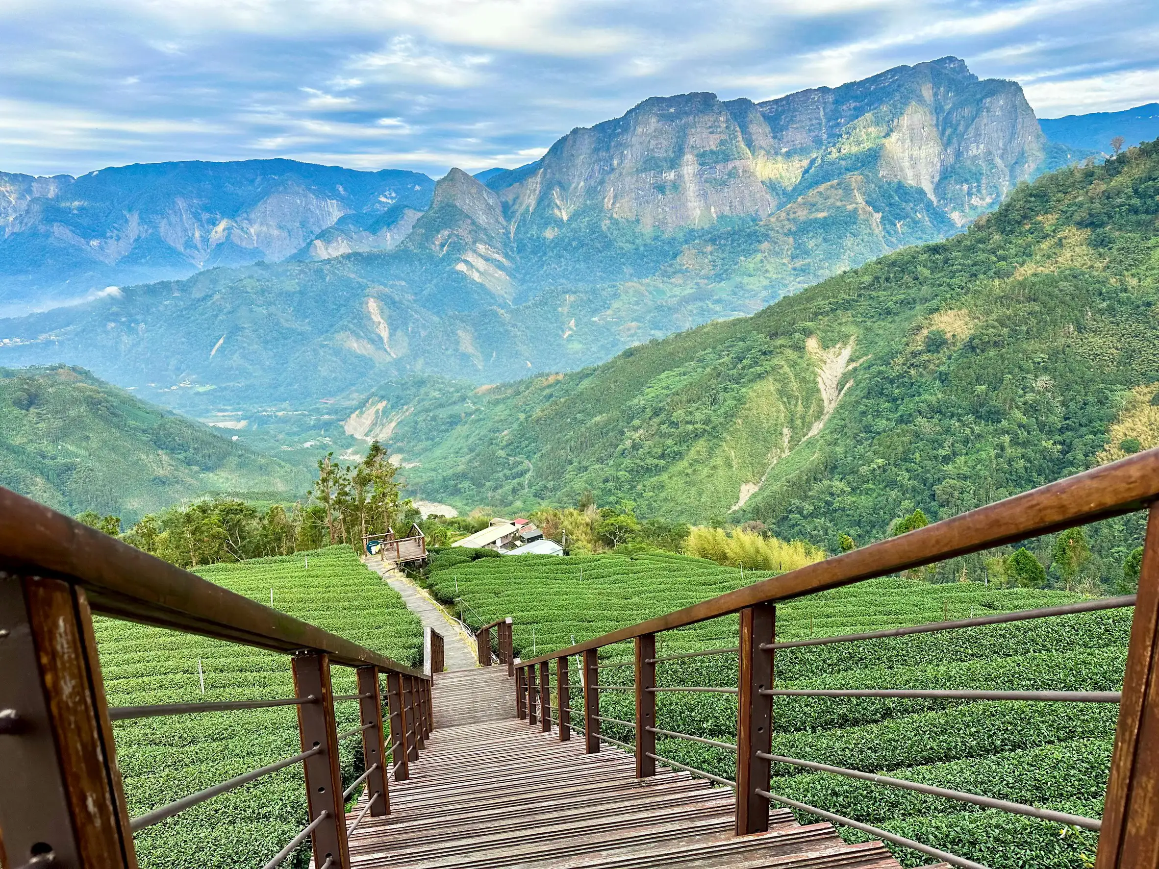 阿里山療癒慢旅行程串聯老宅餐廳、茶園步道與賞螢景致，打造放鬆身心的山林體驗。(圖/嘉義縣文化觀光局提供)