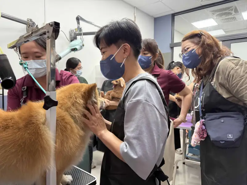毛孩變身最佳導師　虎尾推寵物美容體驗助攻職涯探索