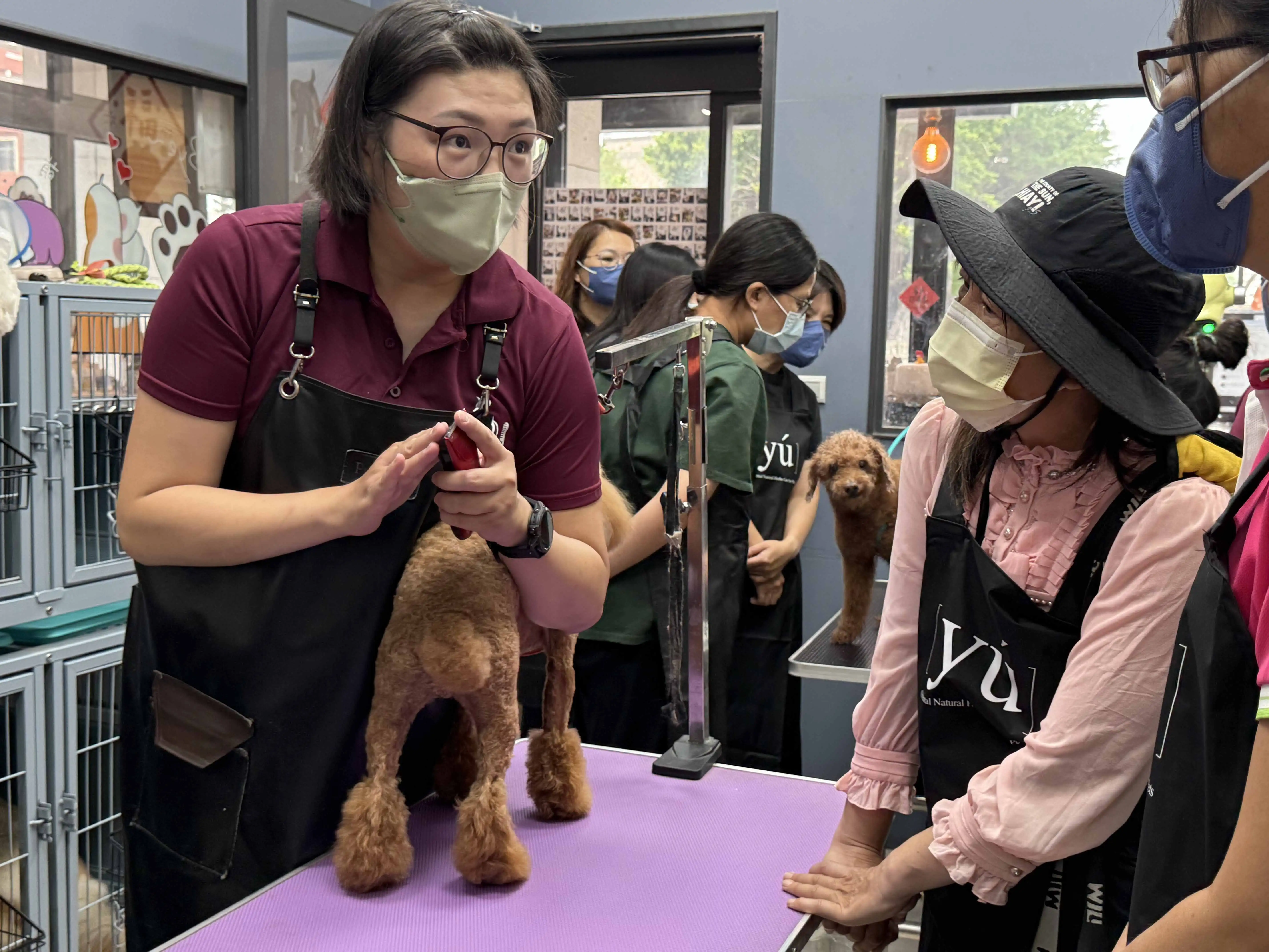 虎尾就業中心辦寵物美容體驗，讓民眾透過實作探索職涯方向。(圖/虎尾就業中心提供)