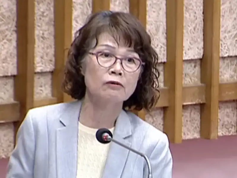 高雄議員曾麗燕籲導入智慧斑馬線　全面檢討停車格與校園設施改善