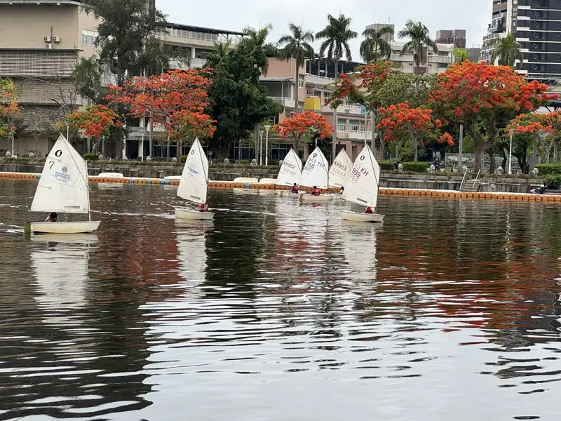 愛河沿岸鳳凰花正盛開  美麗風景吸引散步賞花打卡