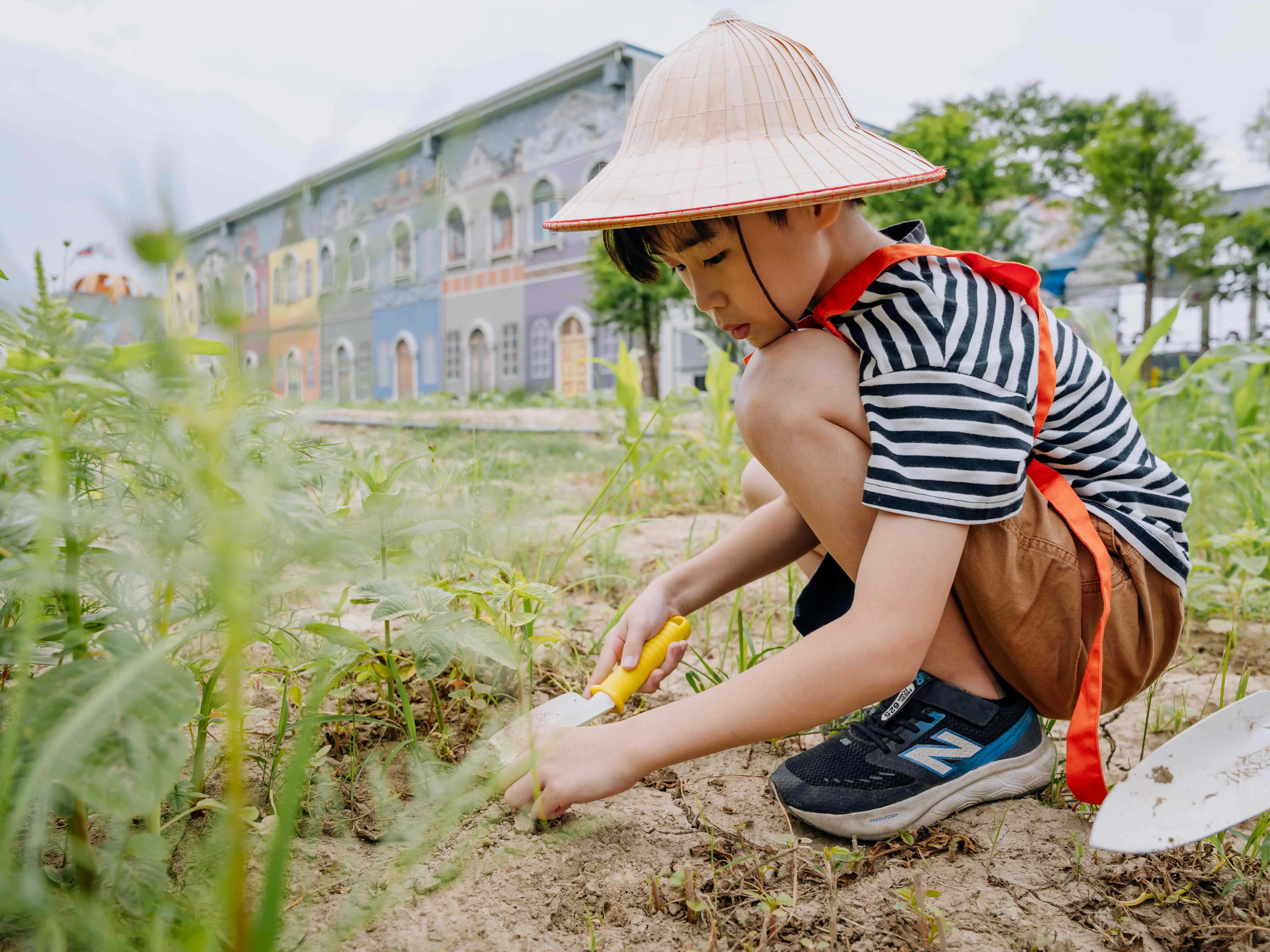 嘉義縣新港鄉夏日向日葵花海進入最佳觀賞期，結合農村景觀、工藝DIY、美食及懷舊體驗，打造適合親子共遊的慢旅行行程。(圖/嘉義縣文化觀光局提供)
