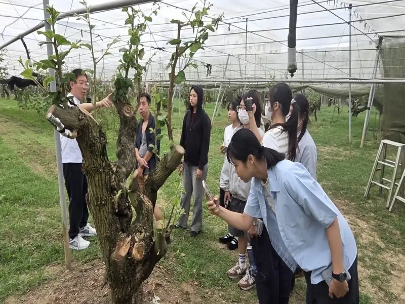 有學分的楠西學  臺南市政府攜手高科大推動地方創生實境課程