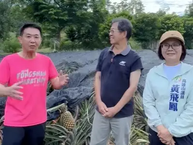 立委許智傑受邀前往高雄大樹區綠冠有機鳳梨農場，現採現吃體驗當季鳳梨美味，並呼籲民眾以實際行動支持在地農民。（圖/許智傑團隊提供）