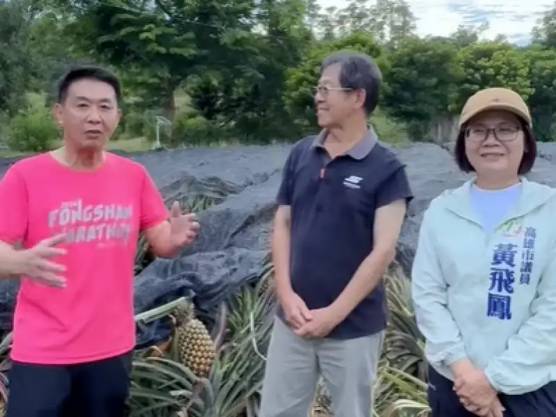 大樹鳳梨進入產季　許智傑邀民眾用行動支持在地農民與友善農業