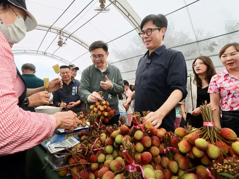 大樹鳳荔季姑山倉庫登場 陳其邁頒發品質評鑑力挺在地小農