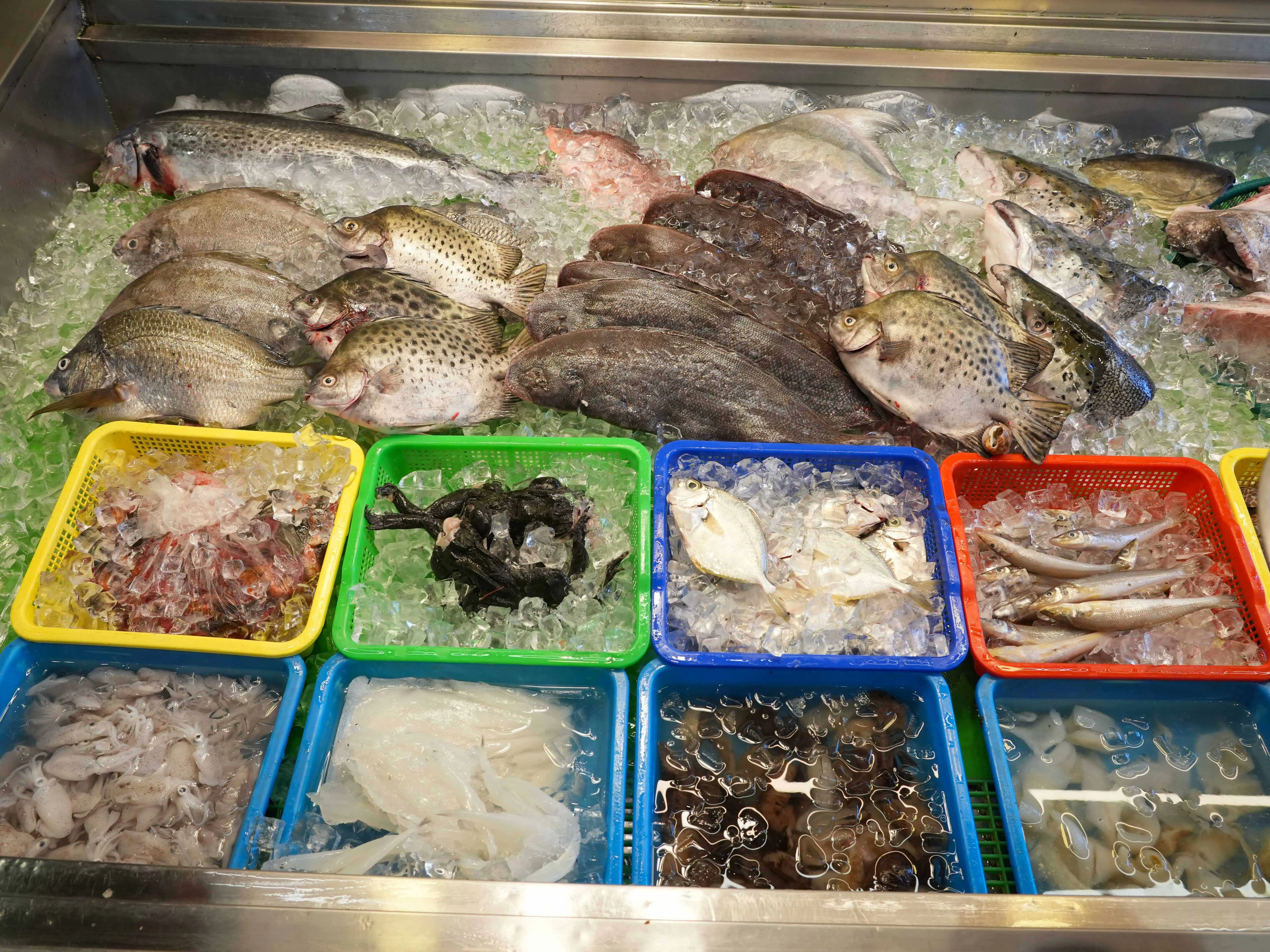 嘉義東石鮮蚵進入最佳品嚐季節，文化觀光局推出超過2,500張海鮮美食優惠券抽獎活動，結合五大人氣名店優惠，邀請全台遊客大啖東石海味。(圖/嘉義縣文化觀光局提供)