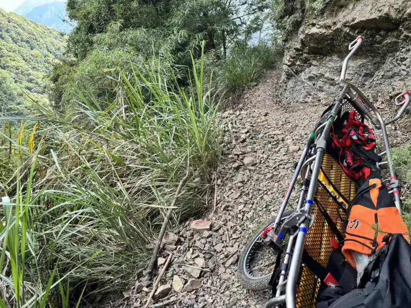 阿里山石山引水道林道登山意外　74歲男子墜邊坡送醫不治