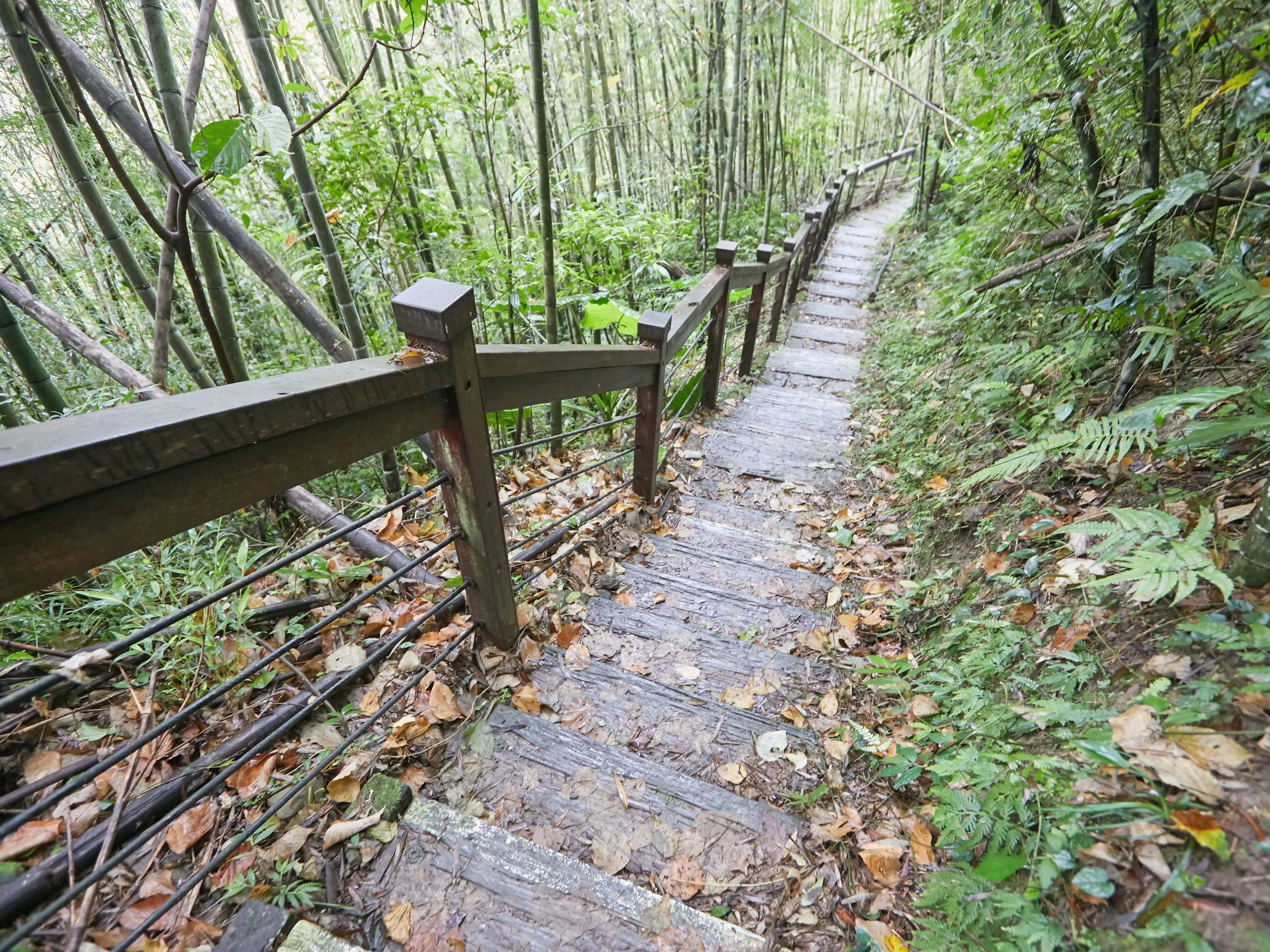 嘉義縣梅山鄉青年嶺步道全長約2.8公里，串聯燕子崖與蝙蝠洞等壯麗地質景觀，沿途逾1700階步道考驗體力與耐力。(圖/嘉義縣文化觀光局提供)