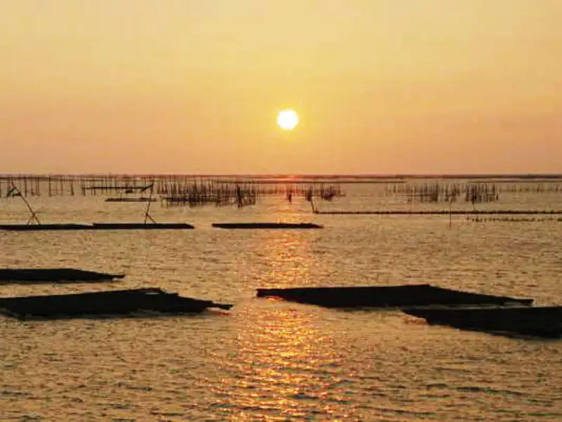 暑假慢遊嘉義海線　藝術、美食、夕陽一次收藏