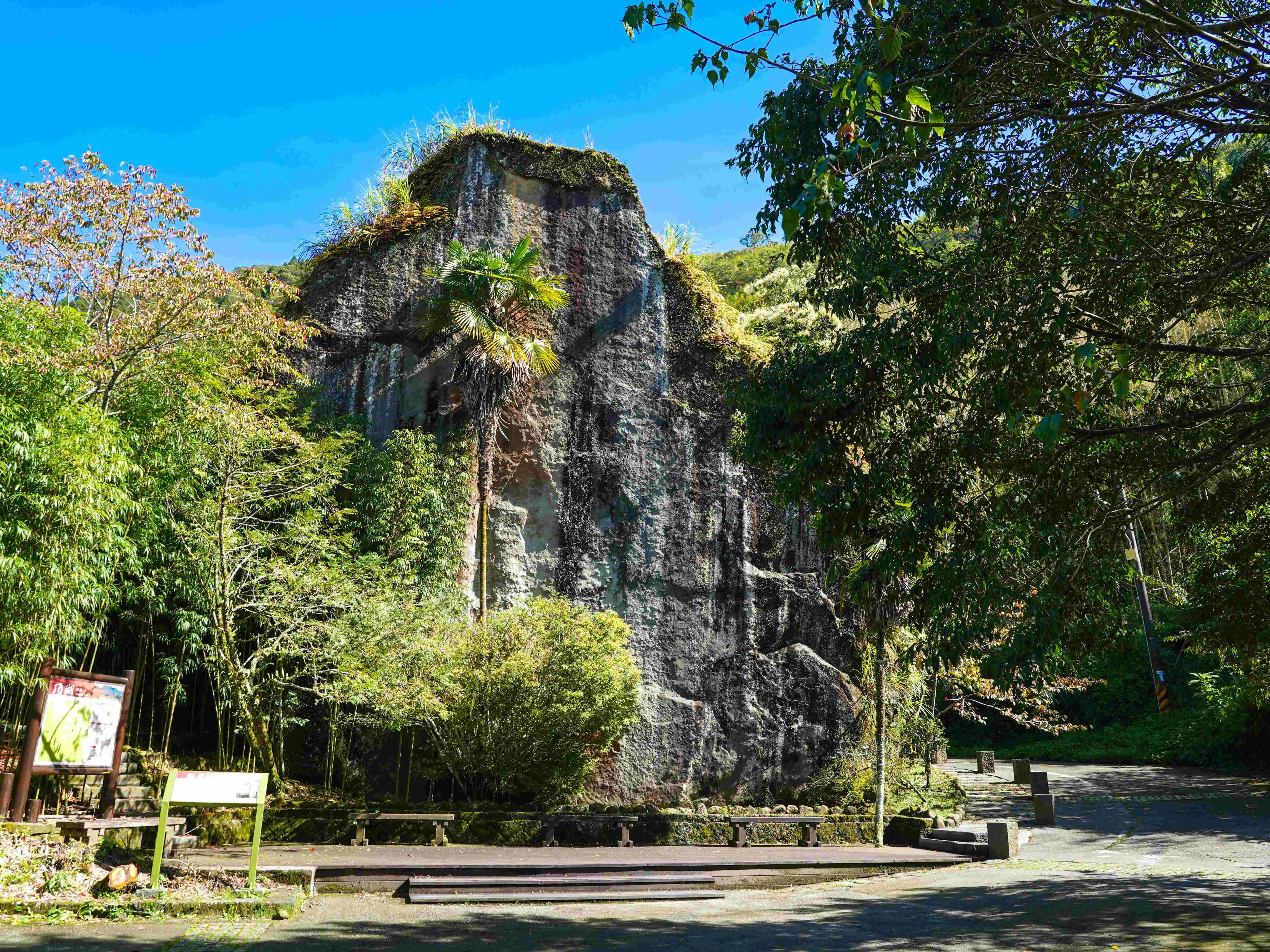 嘉義縣文化觀光局推薦暑假到阿里山奮起湖步道群與頂湖步道旅遊，結合森林健行、百年鐵道文化、奮起湖老街及特色便當，一次體驗嘉義山林慢旅行。(圖/嘉義縣文化觀光局提供)