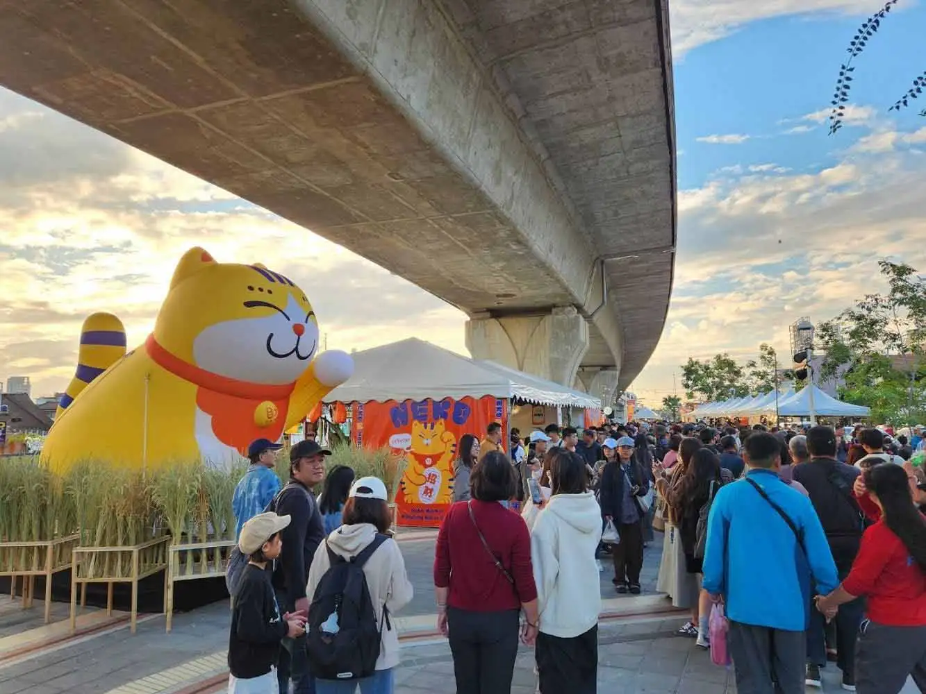 屏東暑假活動精彩登場，包括2026屏東夏日狂歡祭、青春祭、市集、藝文展覽、火箭競賽及海線旅遊，7月至8月底玩遍屏東山海城鄉。(圖/屏東縣政府提供)