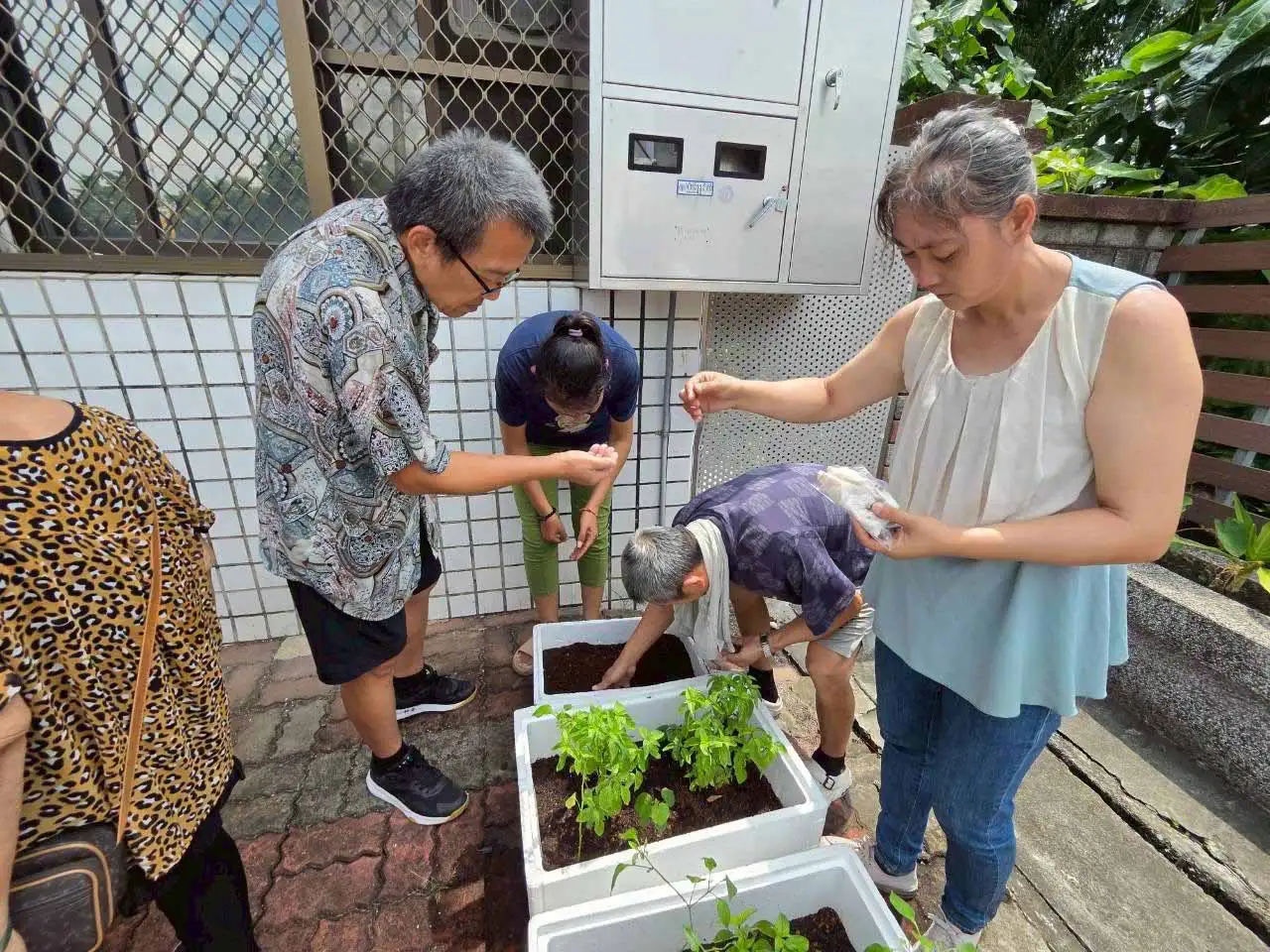 嘉義縣社區心理衛生中心推出「種出好日子」精神復元計畫，透過農園藝及團體互動，陪伴精神康復者建立生活能力、自信與社會連結。(圖/嘉義縣社區心理衛生中心提供)