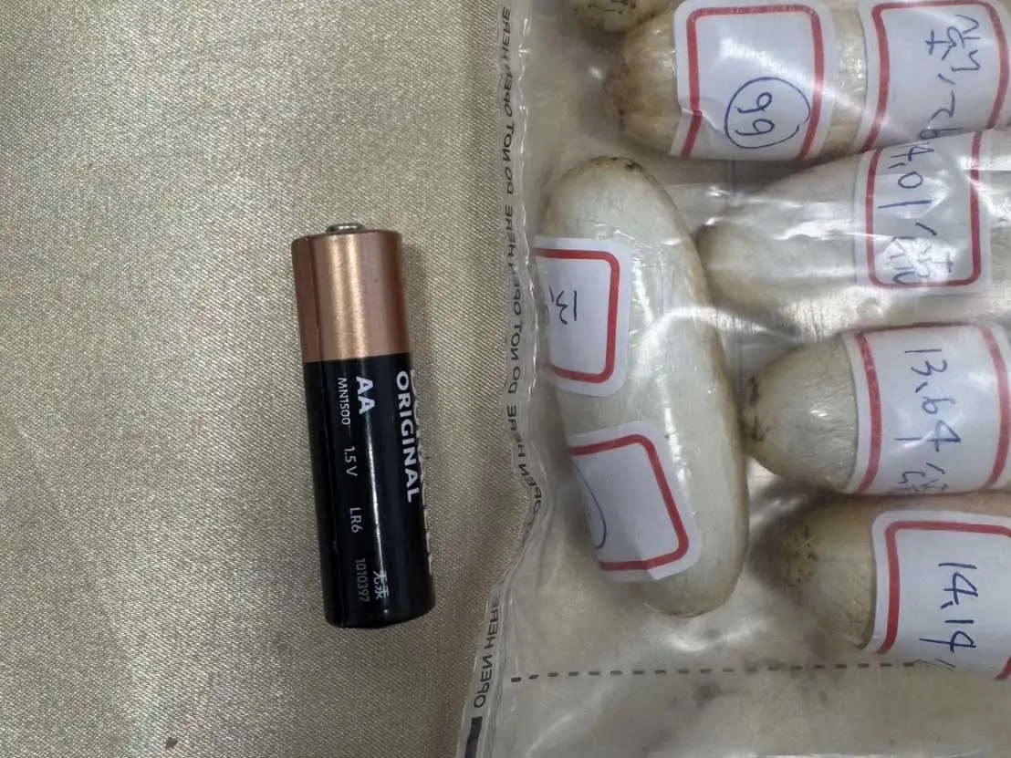 經鑑驗確認均為第一級毒品海洛因，毛重約1.4公斤。（高雄市刑事警察大隊偵查隊提供）