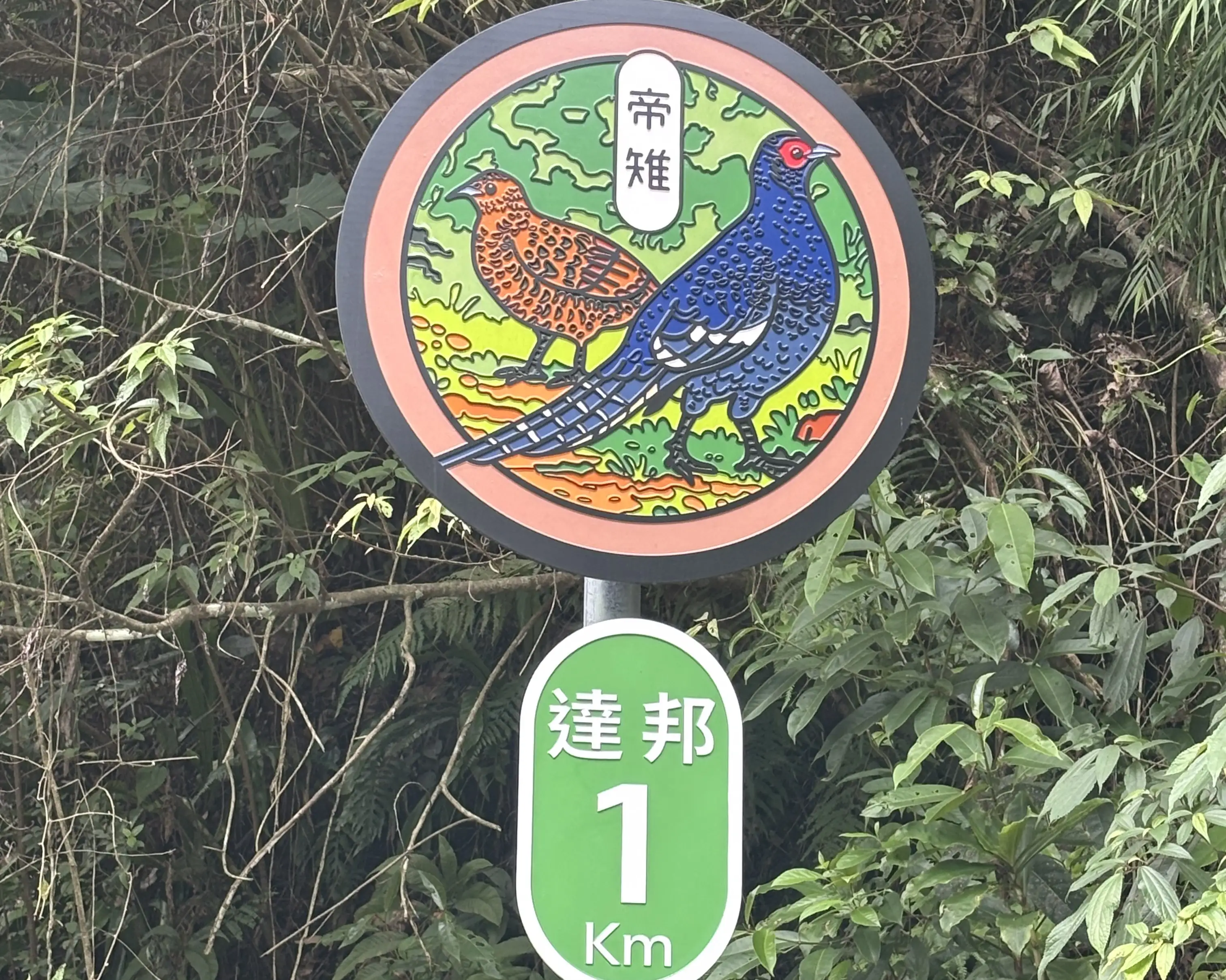以「向山而聚」為策展主題，串聯山美、新美、茶山、來吉、樂野、達邦、特富野及里佳等8個部落。(嘉義縣文化觀光局提供)