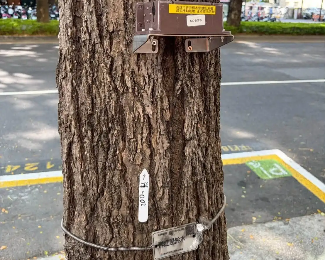 高雄市議員黃文益介紹行道樹上的智慧傾斜監測裝置，透過24小時監測樹木傾斜狀況，即時預警倒伏風險，提升城市防災量能與市民通行安全。（取自黃文益臉書）