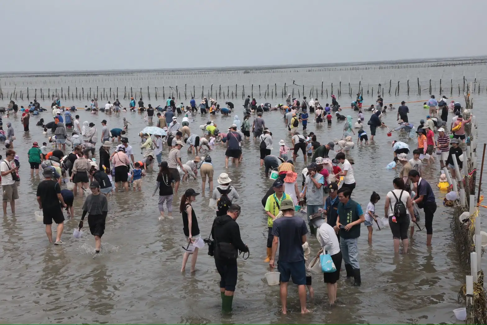 台南七股海鮮節－觀光赤嘴園挖文蛤體驗活動吸引近1500名民眾熱情參與，大小朋友捲起褲管走進潮間帶，親手挖掘文蛤，體驗七股濱海漁村獨特的夏日親水樂趣。(台南市政府提供)