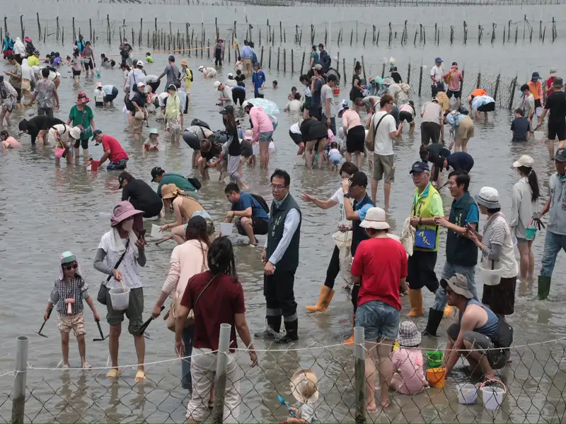 暑假最夯親子活動！七股赤嘴園挖文蛤吸引近1500人同樂