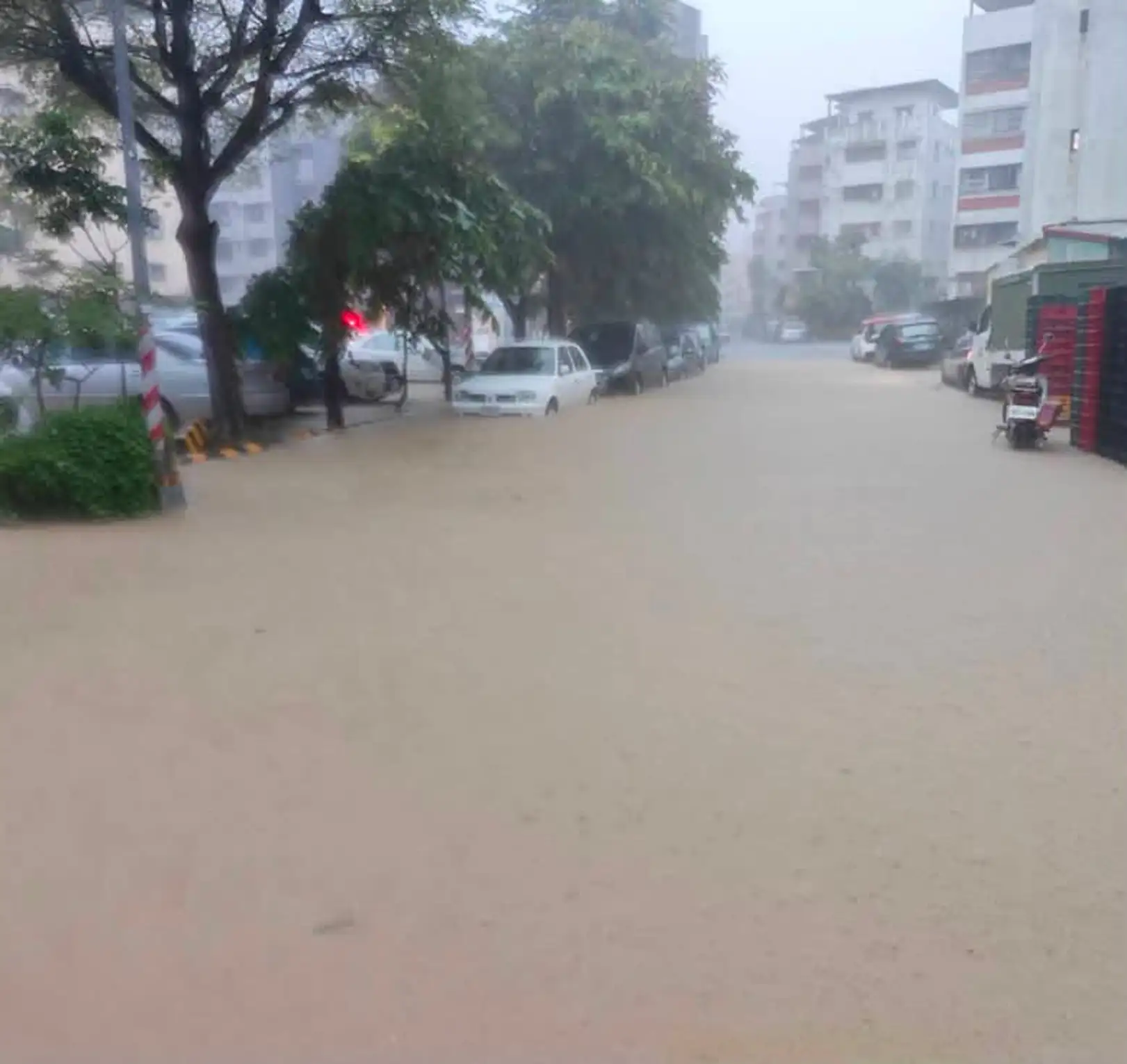 市議員陳美雅23日關心鼓山三路豪雨積淹水情形，批評相關治水工程投入近5.8億元，卻仍無法有效解決長年積淹水問題，要求市府全面檢討。（陳美雅提供）