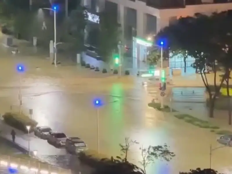 鼓山多處豪雨再積水  陳美雅籲檢視189億治水成效