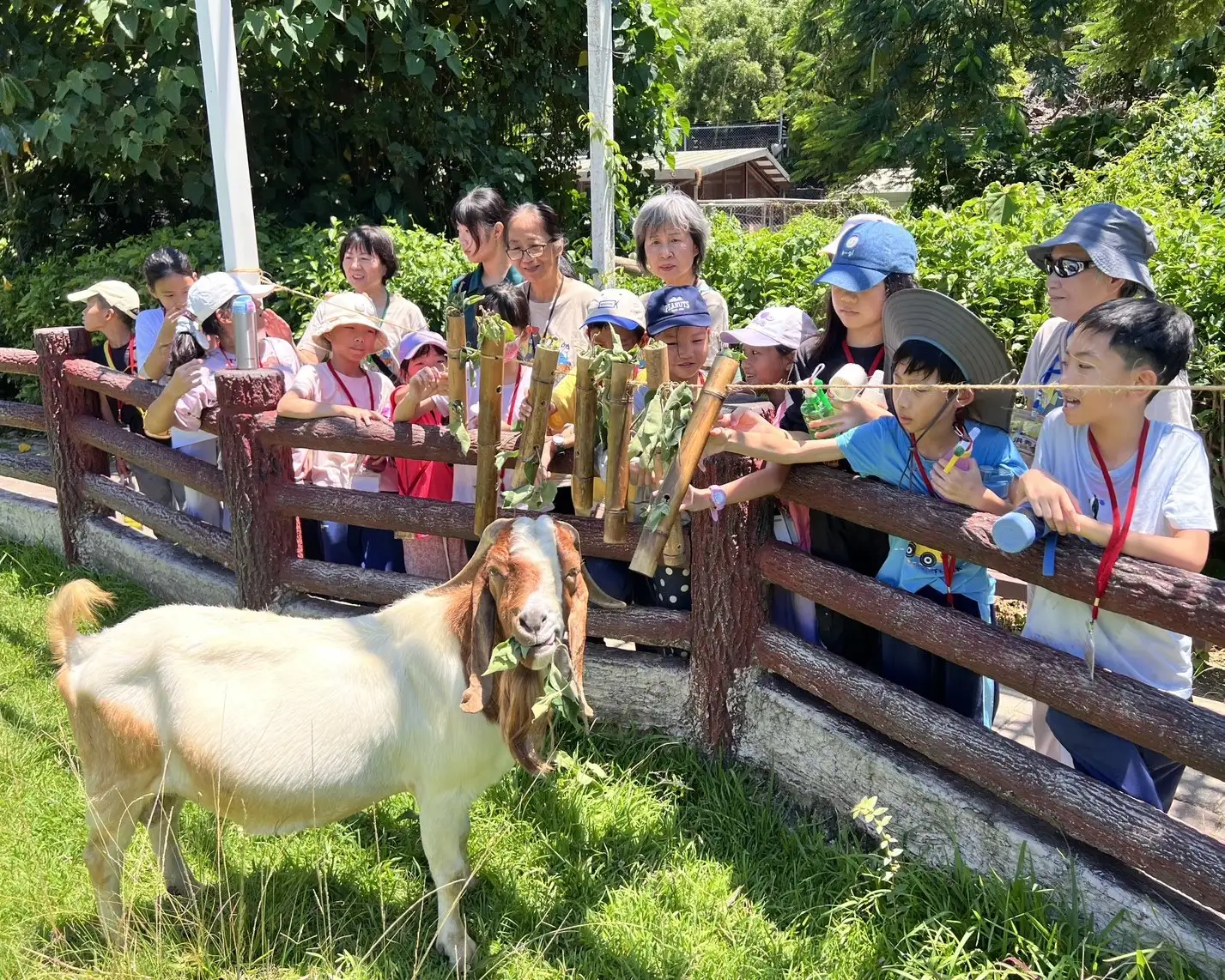 「高雄熊夏日童樂會」在解說教育中心舉辦，透過英語故事及互動活動，帶領小朋友認識動物與保育知識。（高雄市觀光局提供）