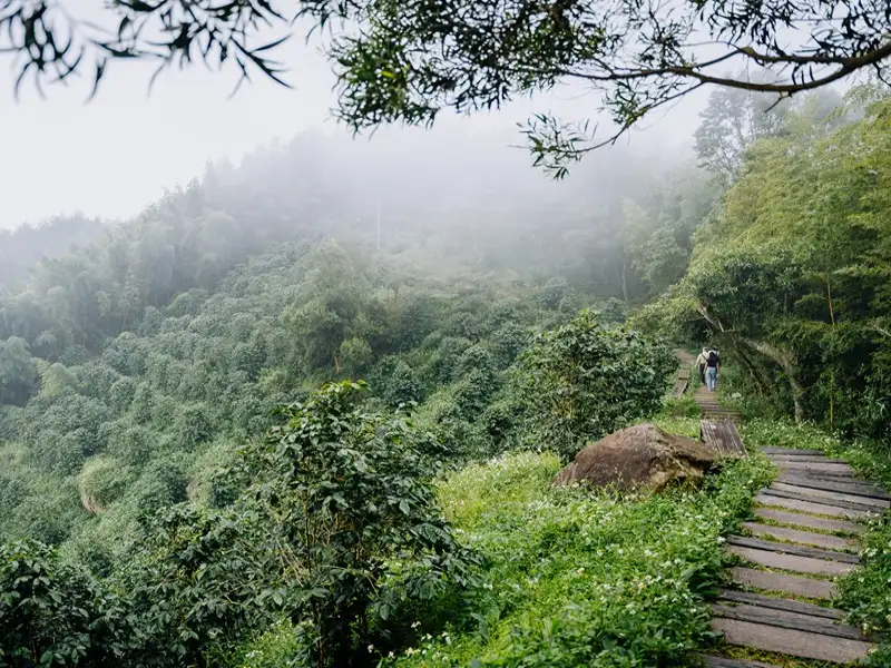 嘉義二尖山步道親民好走  半日輕旅山景美食一次收