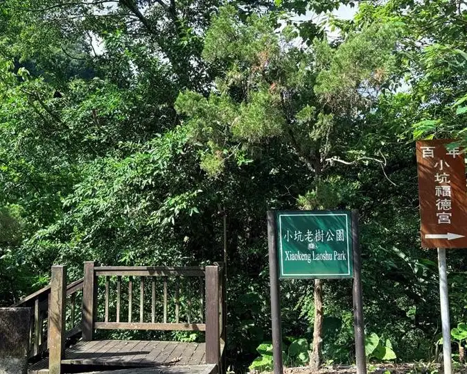 文山區小坑溪親水文學步道沿著溪流而行，以既有自然環境為基礎，保留老樹及地景特色。(台北市政府公園處提供)