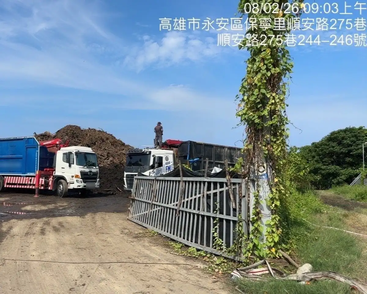 永安區農地非法堆置廢木材陸續載運離場，環保局要求相關業者於今年底前完成清除。（高雄市環保局提供）