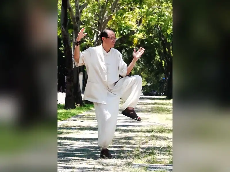 太極融入日常養生　潘智航南都里開講