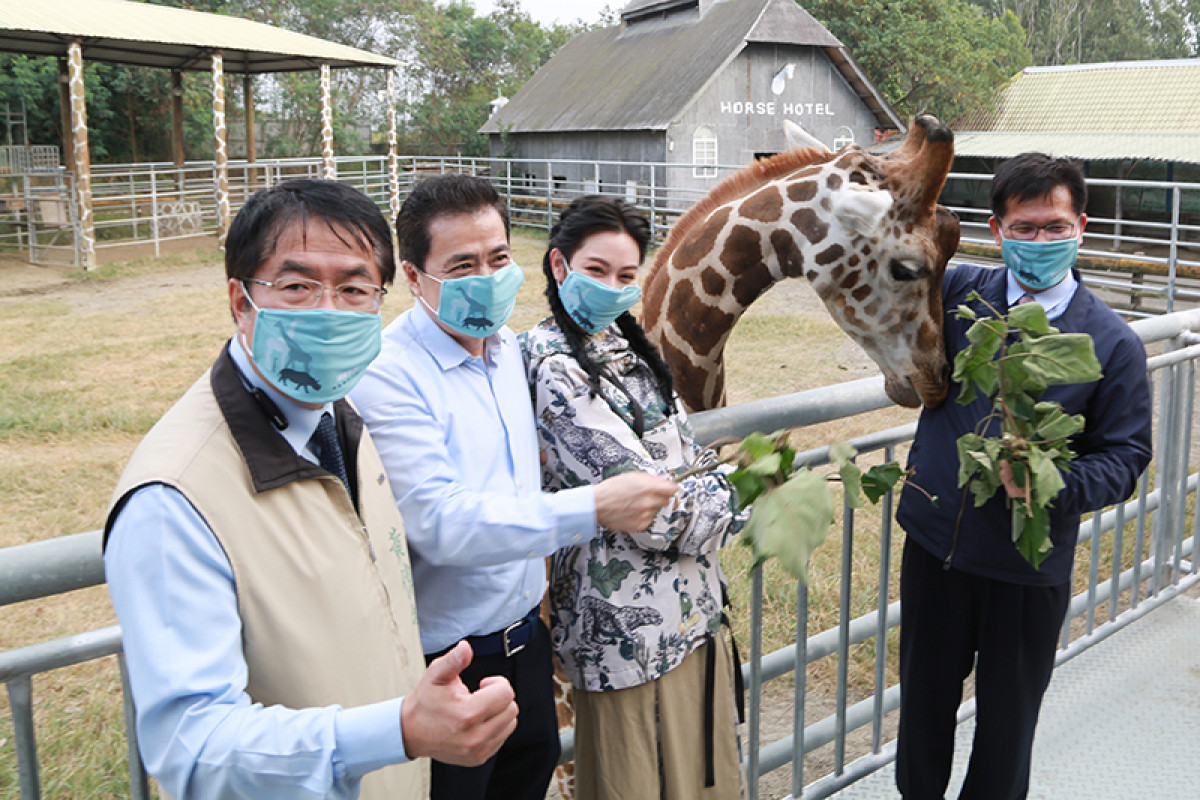 ⬆台南市長黃偉哲(左1)邀請交通部長林佳龍(右1)與園區內長頸鹿互動。