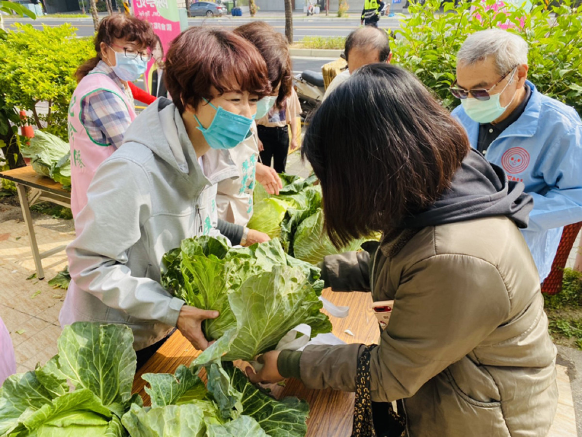 陳亭妃與陳怡珍9日一早9點，在安南區、北區的2處服務處，各送出1000顆高麗菜。