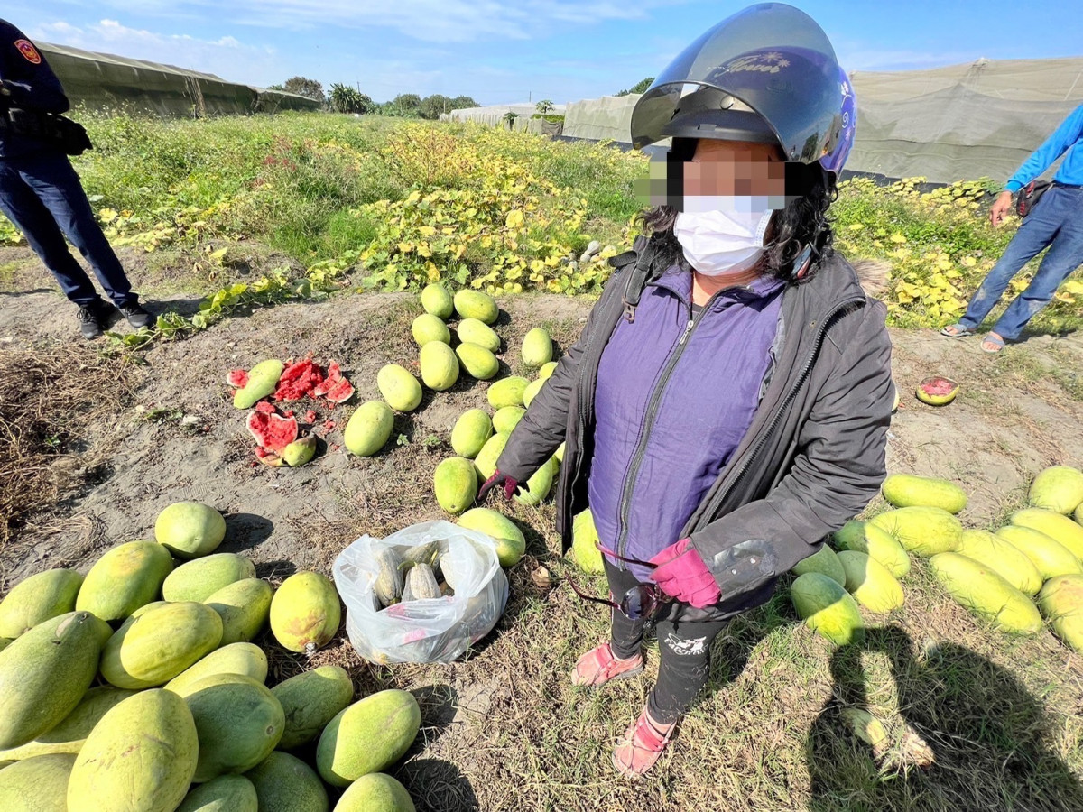 陳姓男子於高屏溪沿岸承租一塊地種植南瓜，巡視農田時發現一名陌生婦女進入他的農地，於是報警處理。