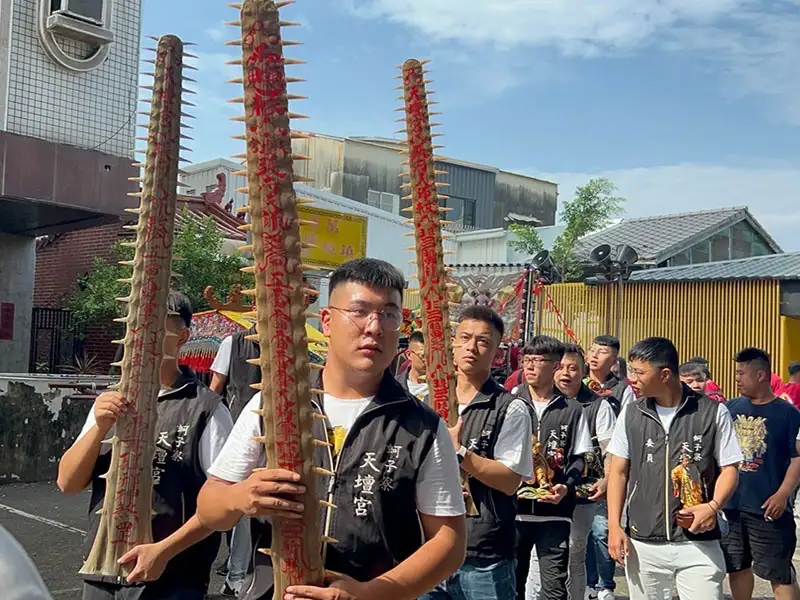 5呎4吋鯊魚劍是目前台灣第二長的,最長的是5呎7吋。(圖/蚵子寮天壇宮提供)