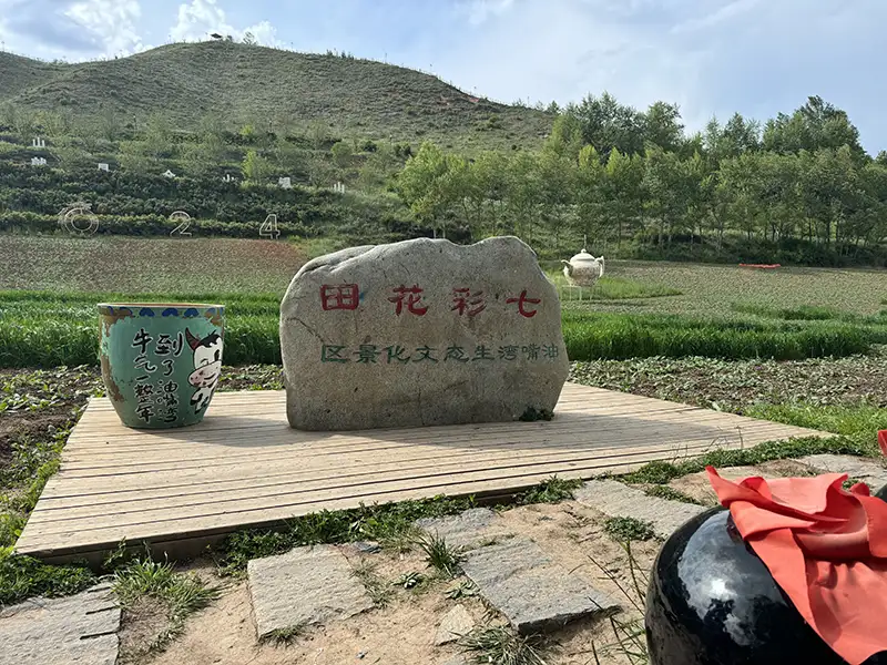 油嘴灣生態文化景區是AAA級旅遊景區，結合農事體驗、田園觀光、花卉觀賞等多種自然生態。(記者李帆純攝)