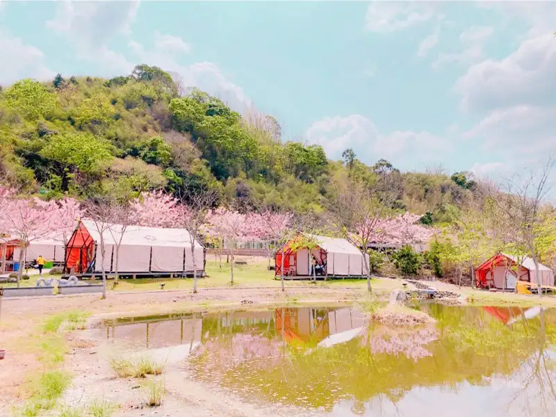 高雄市觀光局自6/18起現場實地輔導各露營場申設，已實地輔導計50家露營場，並且獲得業者的讚賞及認同。（記者吳文欽攝）