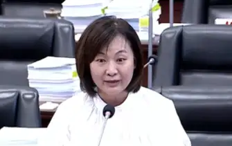 市議員陳麗娜質疑，大同醫院換手案如今又被發現臨時抽換標案，讓人不能不懷疑衛生局是否有綁標行為？（記者吳文欽攝）