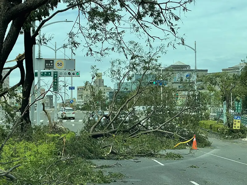 市議員李雅靜說，陳其邁市長沒視察到的地方，還是寸步難行，拜託市長趕快回頭再來鳳山。（記者吳文欽攝）