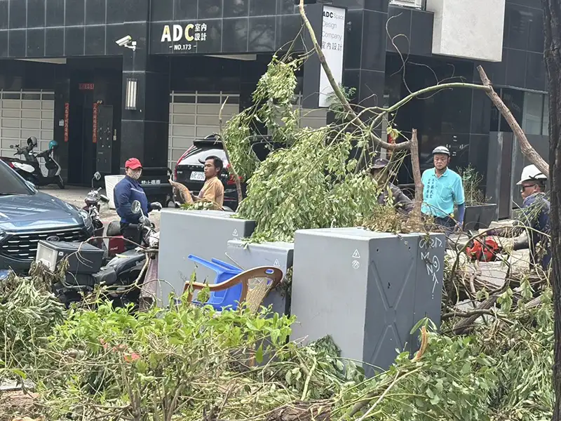 市議員蔡武宏助理許芳瑞動員志工多人，連日來進行前鎮西甲里社區街道及公園環境清理作業，力拼西甲里社區迅速復原，恢復環境整潔，道路通行順暢。（記者吳文欽攝）