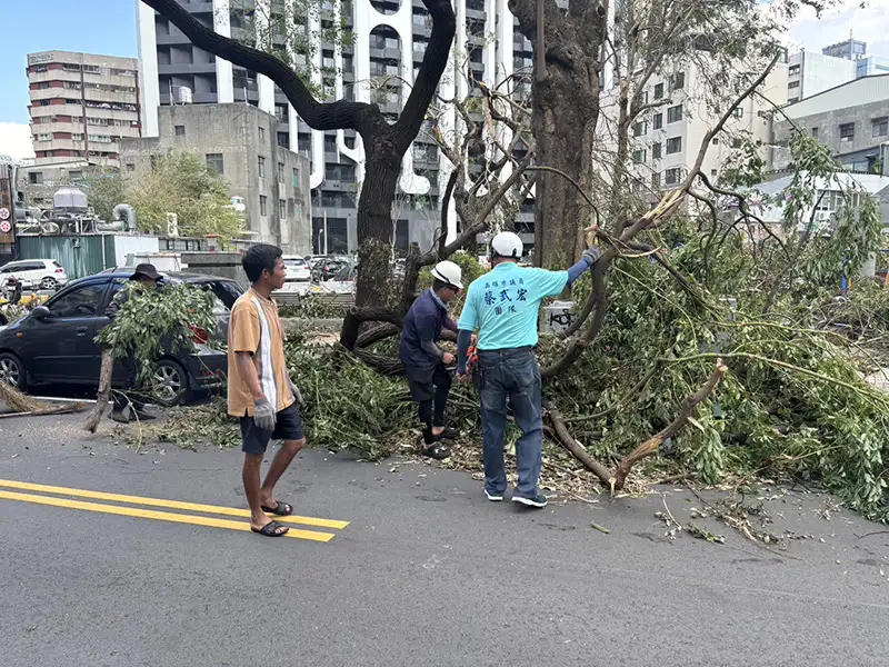 市議員蔡武宏助理許芳瑞動員志工多人，連日來進行前鎮西甲里社區街道及公園環境清理作業，力拼西甲里社區迅速復原，恢復環境整潔，道路通行順暢。（記者吳文欽攝）