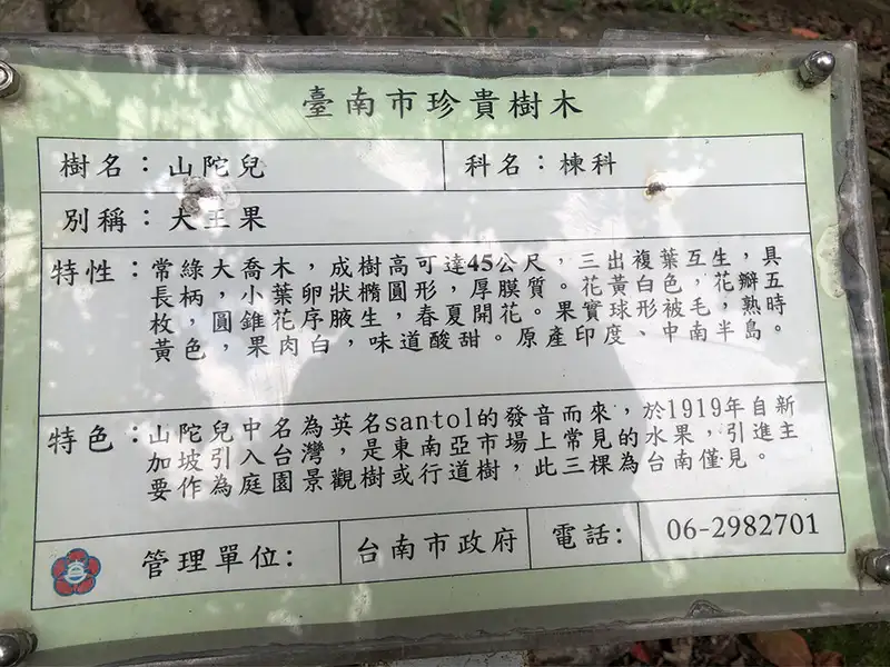 台南公園山陀兒老樹介紹說明。(圖/台南觀光旅遊局 提供)