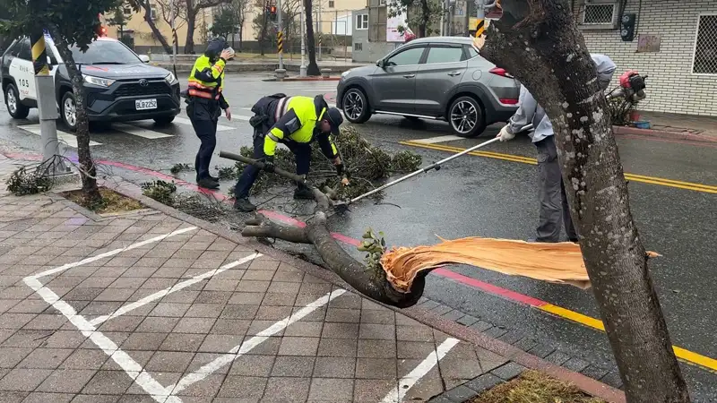 颱風康芮為澎湖帶來14級強風，造成多起路樹倒塌、鐵皮毀損。(記者張振興翻攝)