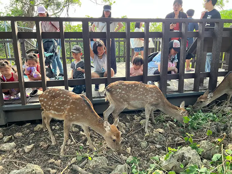 觀光局表示，感謝風災期間辛勞幕後英雄，壽山動物園特別推出「送暖感恩專案」，即日起至今年底前，市府相關局處人員憑工作證可享壽山動物園免費入園。（記者吳文欽攝）