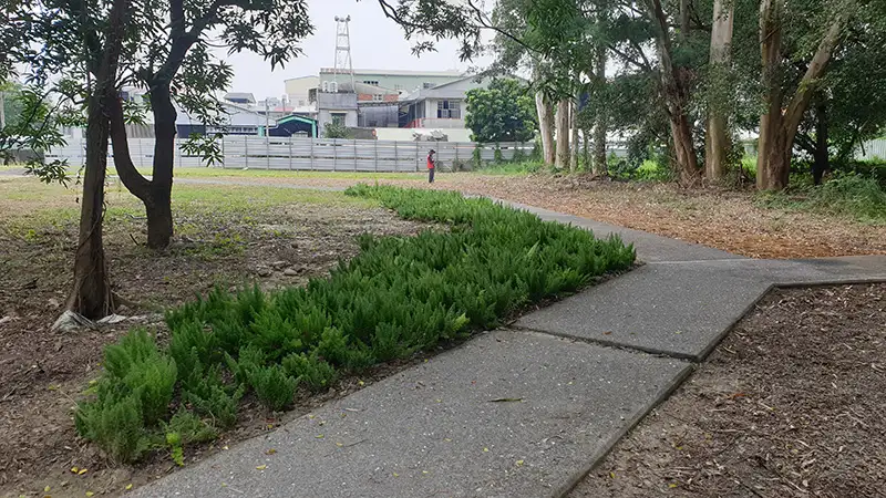 步道邊緣增加耐陰性地被讓園區植栽樣貌更多樣化。(圖/都發局提供)