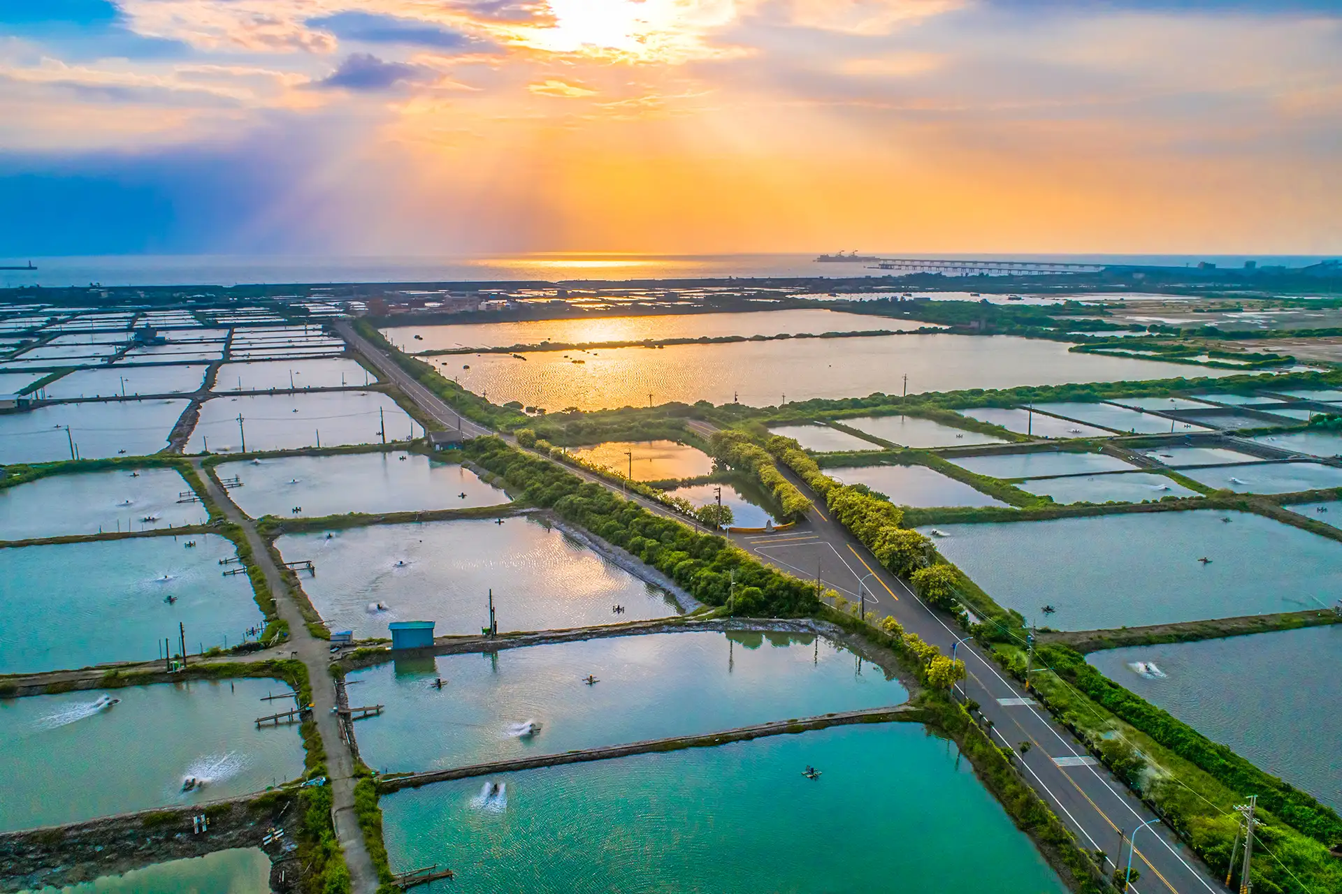 觀光局辦理海線潮旅行團體旅遊補助計畫，鼓勵全台旅行社組團來到海線茄萣、永安、彌陀、梓官及林園旅遊。（記者吳文欽攝）