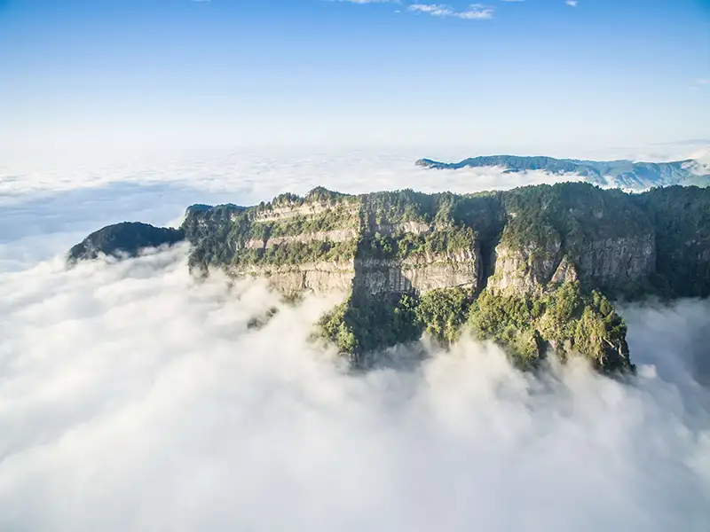 阿里山絕對是認證的絕佳旅遊地，誠摯邀請旅客前來探索。(圖/嘉義縣政府)